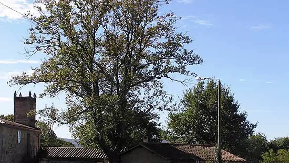 Palas de Rei Palas de Rei