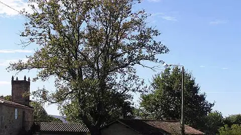 Palas de Rei Palas de Rei
