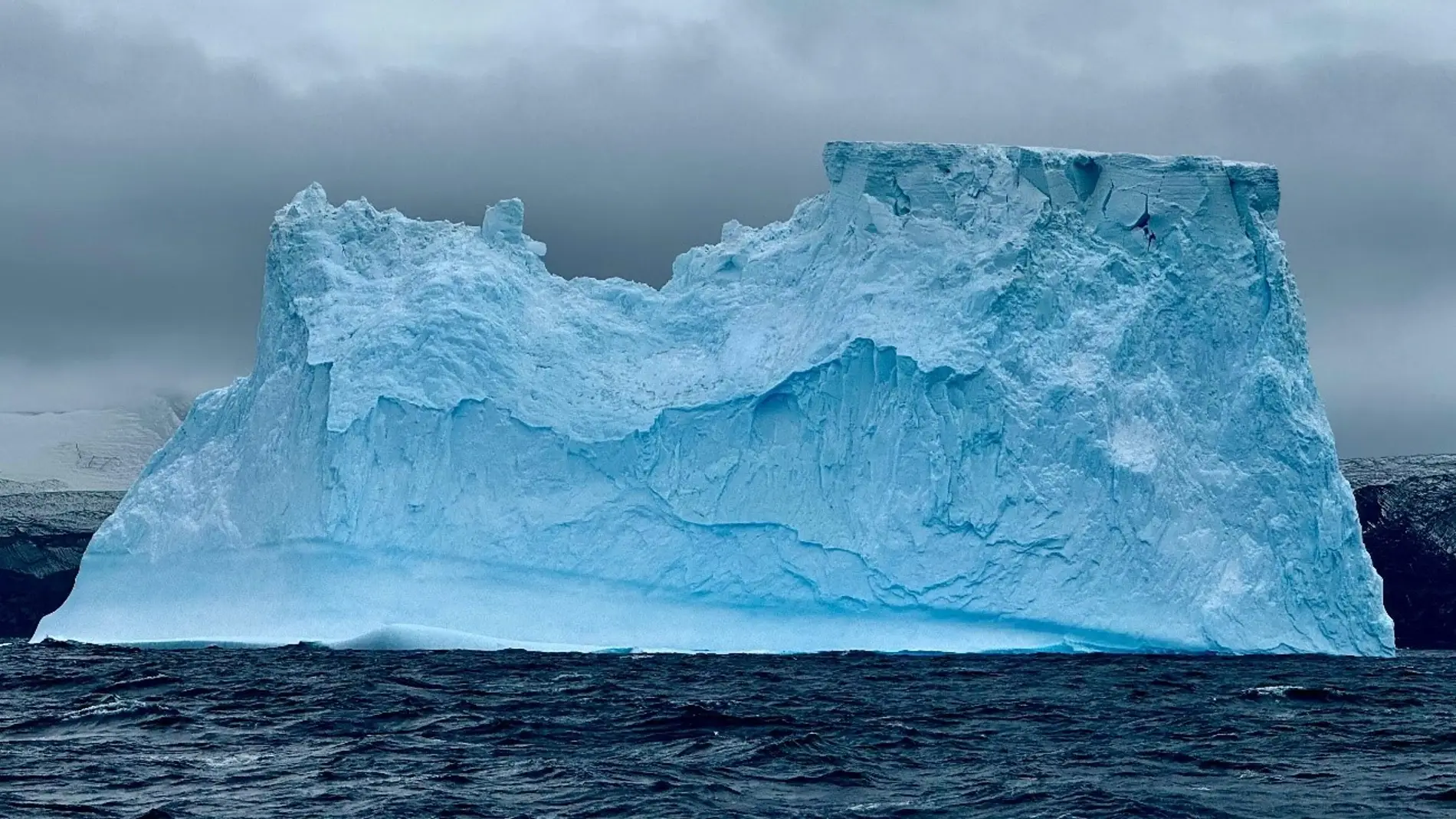 Se incrementa la duracion e intensidad de las olas de calor marinas en el oceano Austral Se incrementa la duracion e intensidad de las olas de calor marinas en el oceano Austral