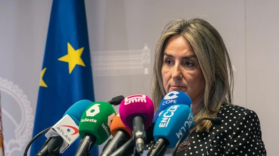 La delegada del Gobierno en Castilla-La Mancha, Milagros Tolón. La delegada del Gobierno en Castilla-La Mancha, Milagros Tolón.