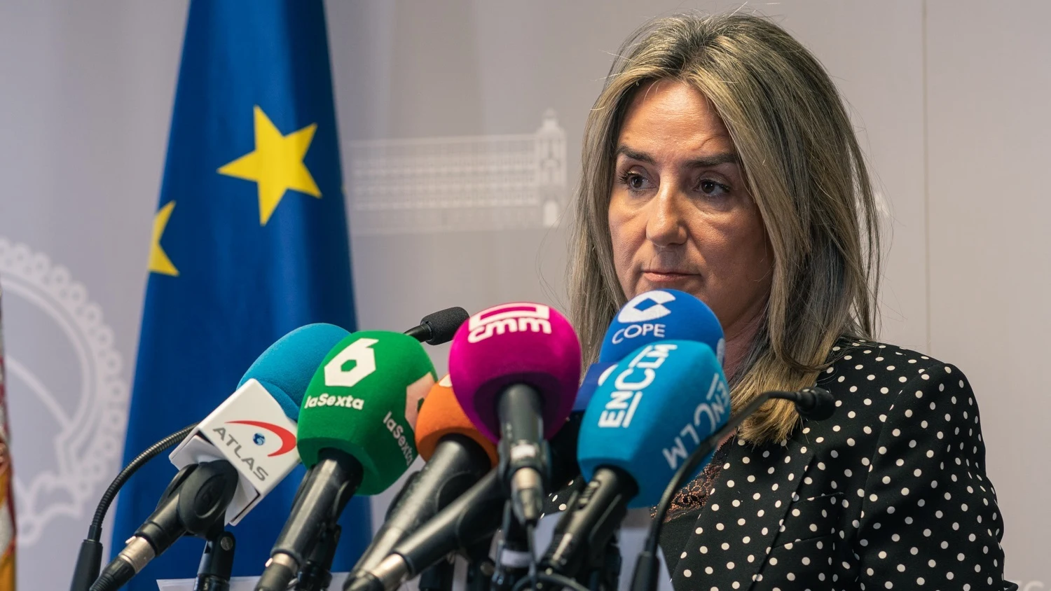 La delegada del Gobierno en Castilla-La Mancha, Milagros Tolón.