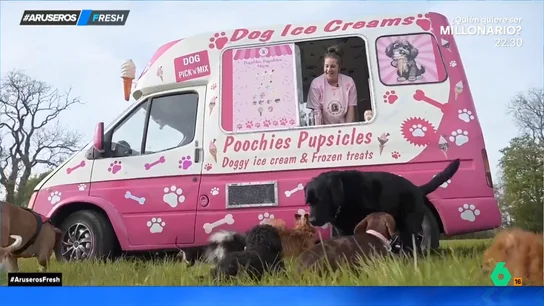 Aruseros foodtruck perros Aruseros foodtruck perros