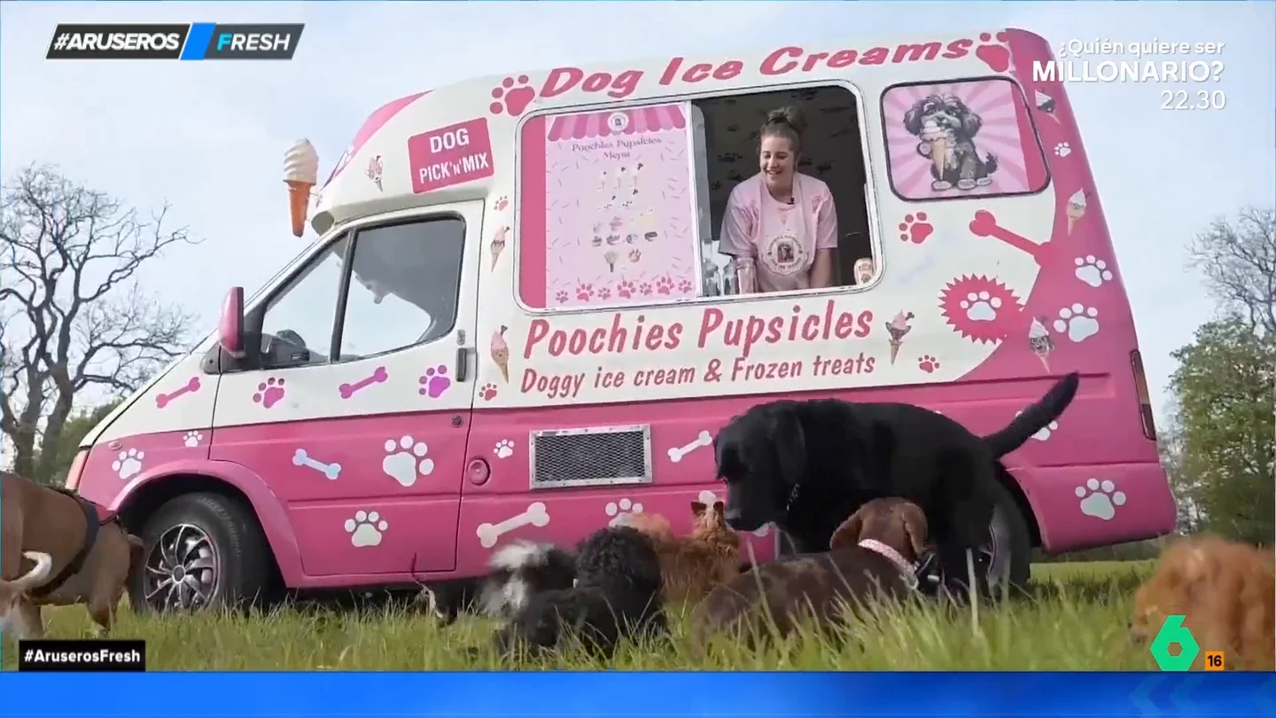 Aruseros foodtruck perros Aruseros foodtruck perros