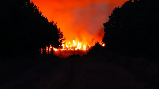 Incendio de Astorga (León) que ha calcinado 800 hectáreas Imágenes del incendio de Astorga (León) que ya se encuentra estabilizado