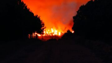 Incendio de Astorga (León) que ha calcinado 800 hectáreas