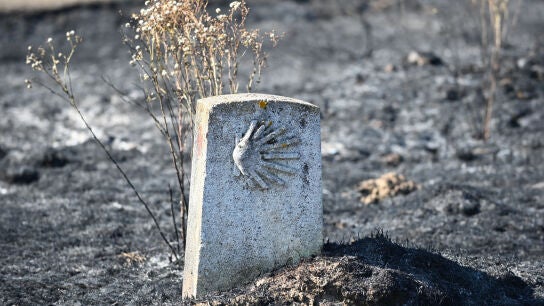 Zona afectada por el incendio de Astorga (Le&oacute;n) que ha afectado a 800 hect&aacute;reas