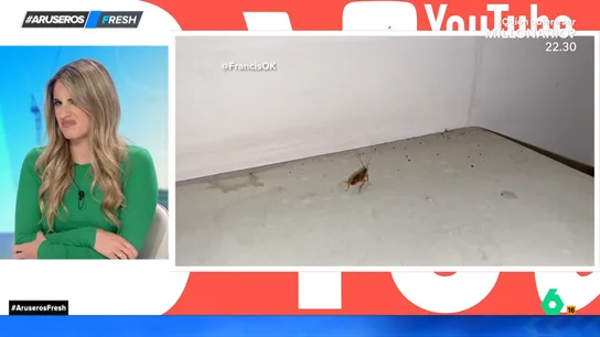 Un youtuber visita los hoteles con peores valoraciones de internet: "Buscando mugre me acabo de encontrar con plata" Un youtuber visita los hoteles con peores valoraciones de internet: "Buscando mugre me acabo de encontrar con plata"