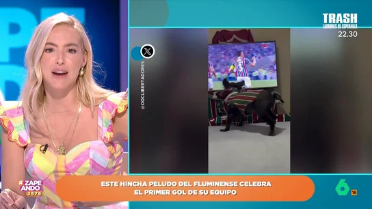 Un perro hincha del Fluminense se vuelve virar por celebrar los goles de su equipo en la Copa Libertadores Un perro hincha del Fluminense se vuelve virar por celebrar los goles de su equipo en la Copa Libertadores