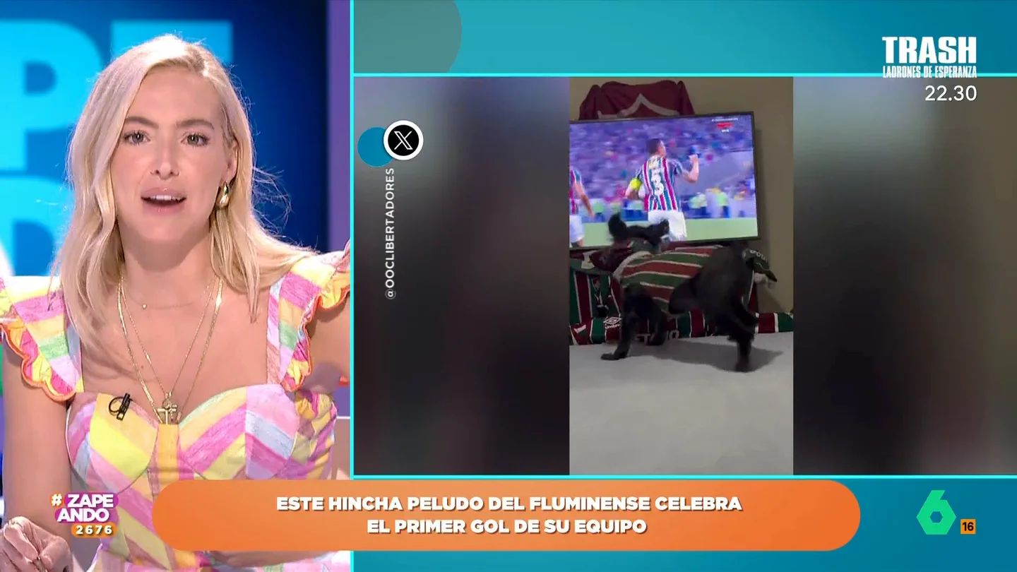 Un perro hincha del Fluminense se vuelve virar por celebrar los goles de su equipo en la Copa Libertadores Un perro hincha del Fluminense se vuelve virar por celebrar los goles de su equipo en la Copa Libertadores