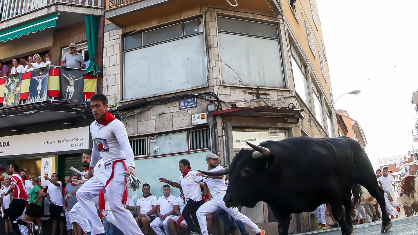 Si quieres participar en los encierros de San Sebastián de los Reyes, estas son sus normas. Varios hombres corren frente a un toro en el quinto encierro de las fiestas de San Sebastián de los Reyes.
