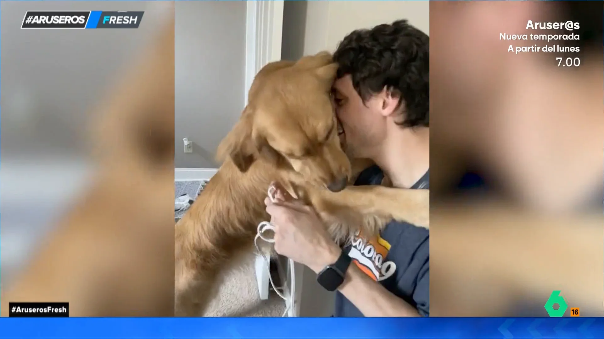 Así de cariñoso reacciona un Golden Retriever con su dueño tras romper un cable