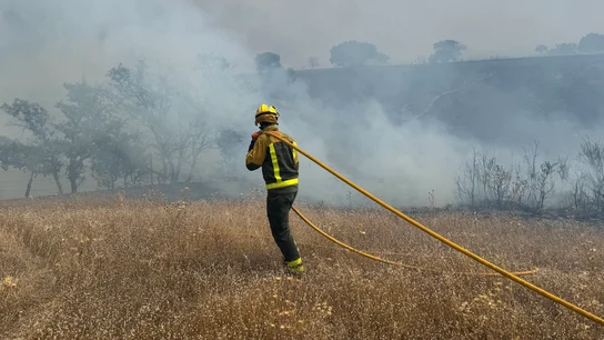 Declarado un incendio en Tres Cantos (Madrid) que afecta a 250 hectáreas Bombero de la Comunidad de Madrid lucha por extinguir el incendio de Tres Cantos