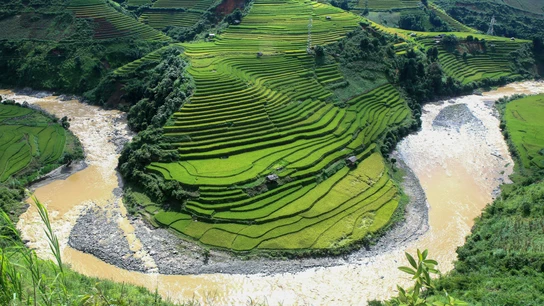 Cultivos de arroz en el distrito de Mu Cang Chai, provincia de Yen Bai, Vietnam Cultivos de arroz en el distrito de Mu Cang Chai, provincia de Yen Bai, Vietnam