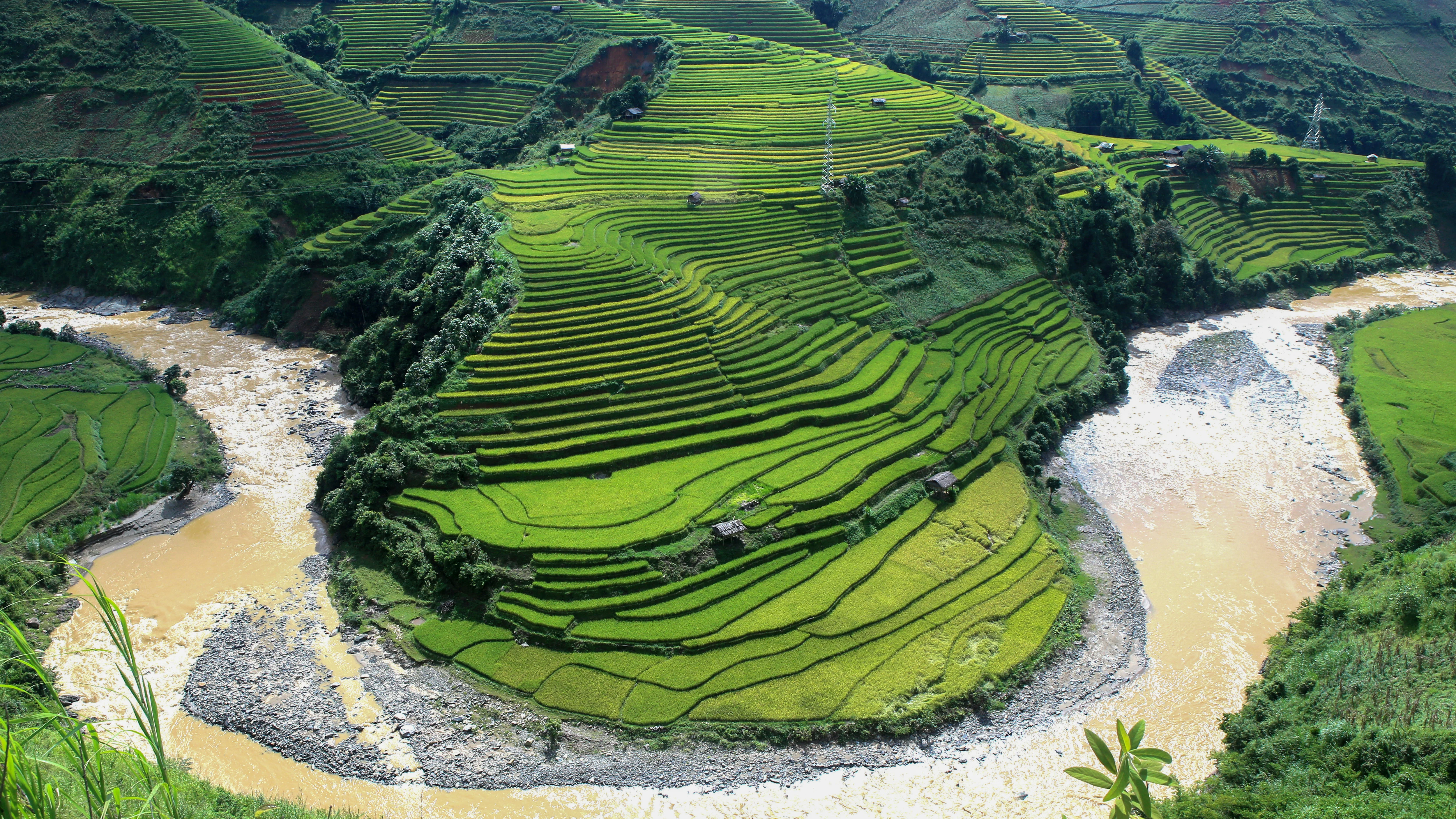 Cultivos de arroz en el distrito de Mu Cang Chai, provincia de Yen Bai, Vietnam