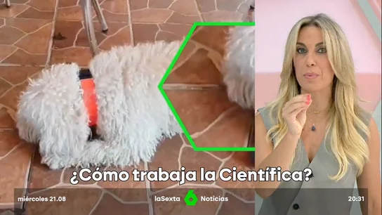 policía científica policía científica