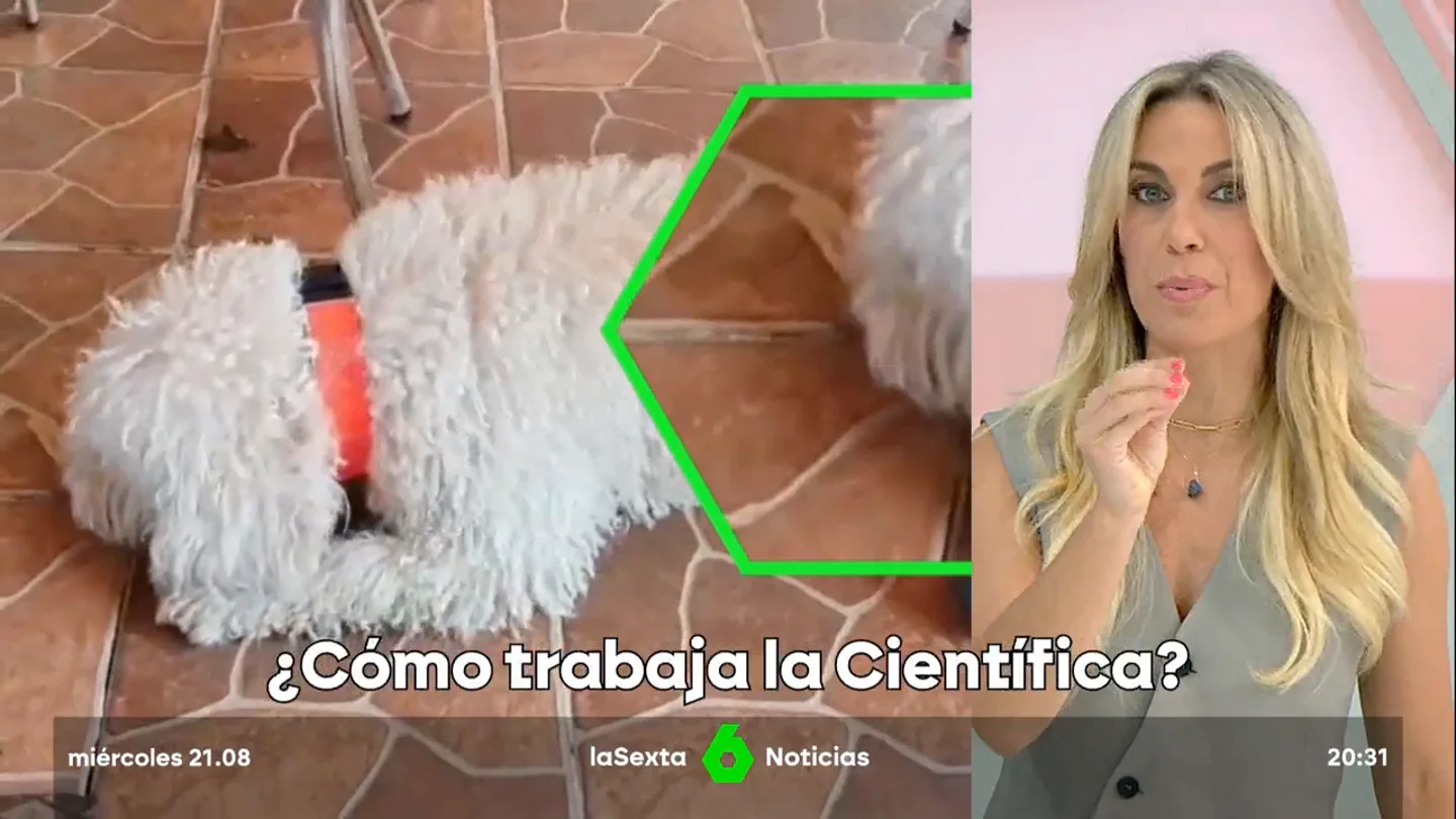 policía científica policía científica