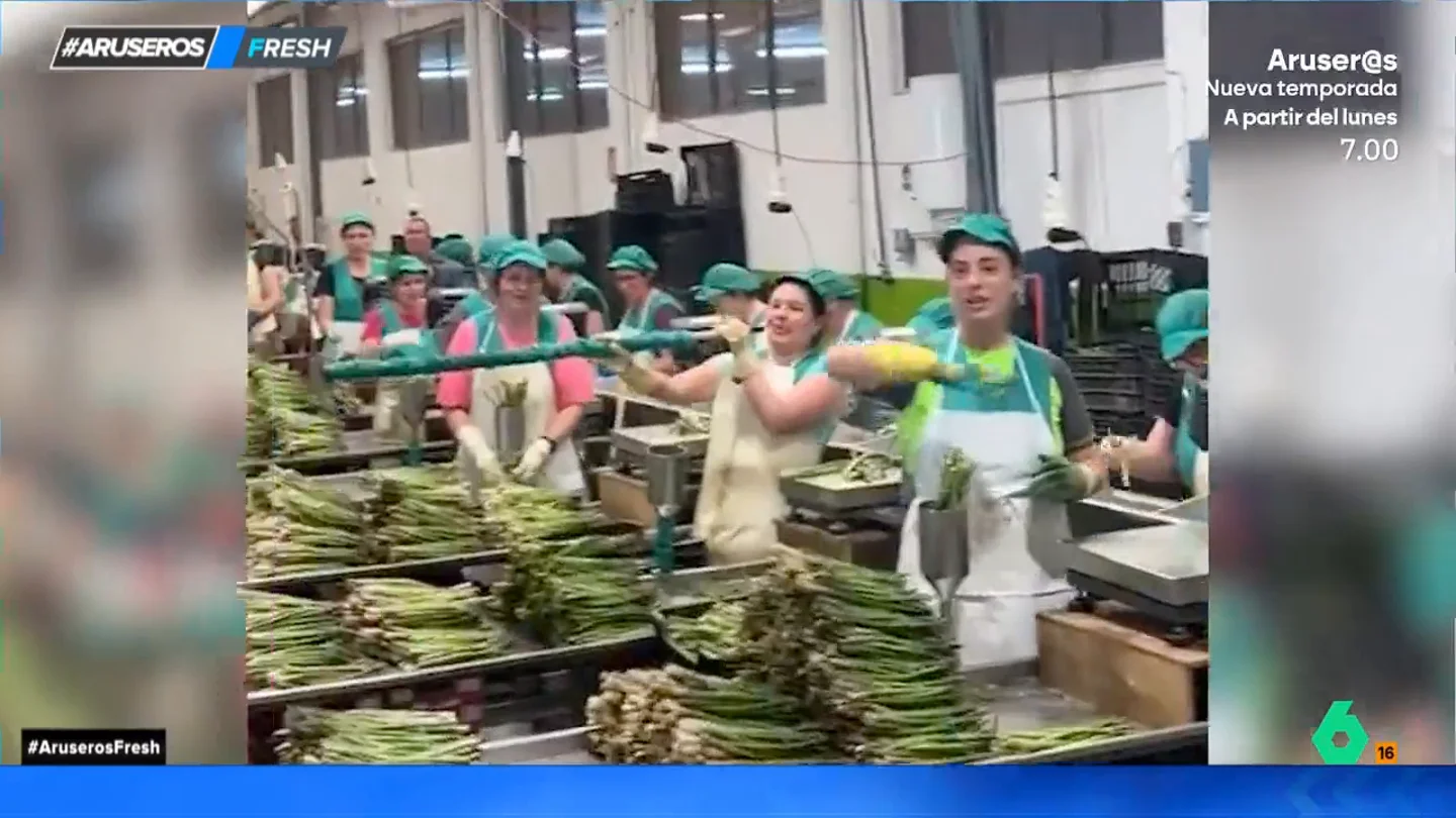 El divertido vídeo viral de unas trabajadoras de una fábrica de Murcia que se vienen arriba cantando por Camela El divertido vídeo viral de unas trabajadoras de una fábrica de Murcia que se vienen arriba cantando por Camela