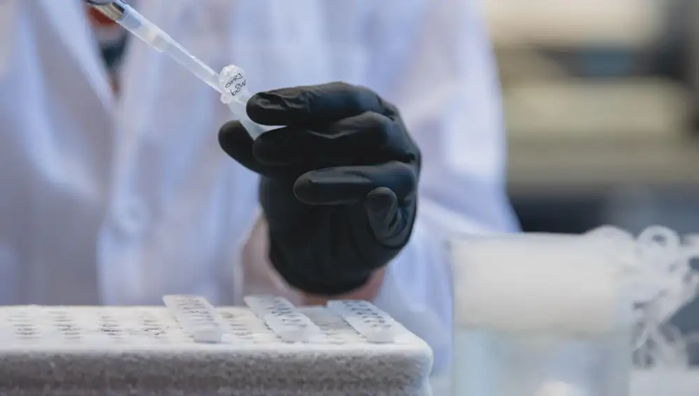 Muestras en un laboratorio Muestras en un laboratorio