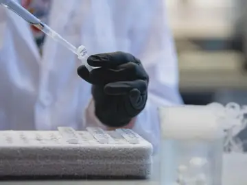 Muestras en un laboratorio Muestras en un laboratorio