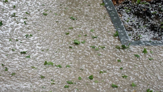 Las tormentas podrán dejar granizo en algunas zonas. Las tormentas podrán dejar granizo en algunas zonas.