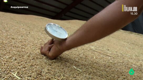 importaci&oacute;n arroz