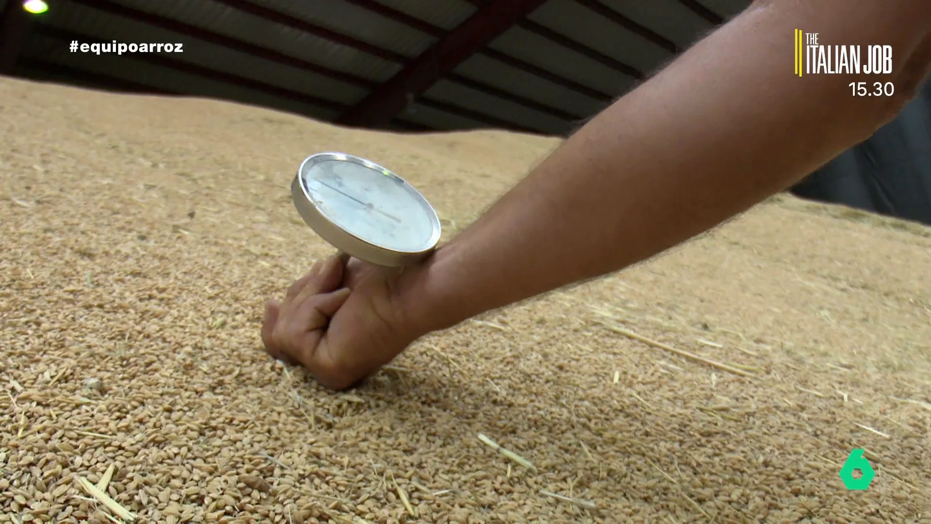 importación arroz