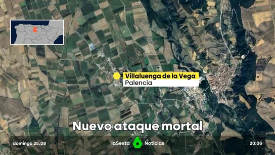 MUERTO PERRO MUERTO PERRO