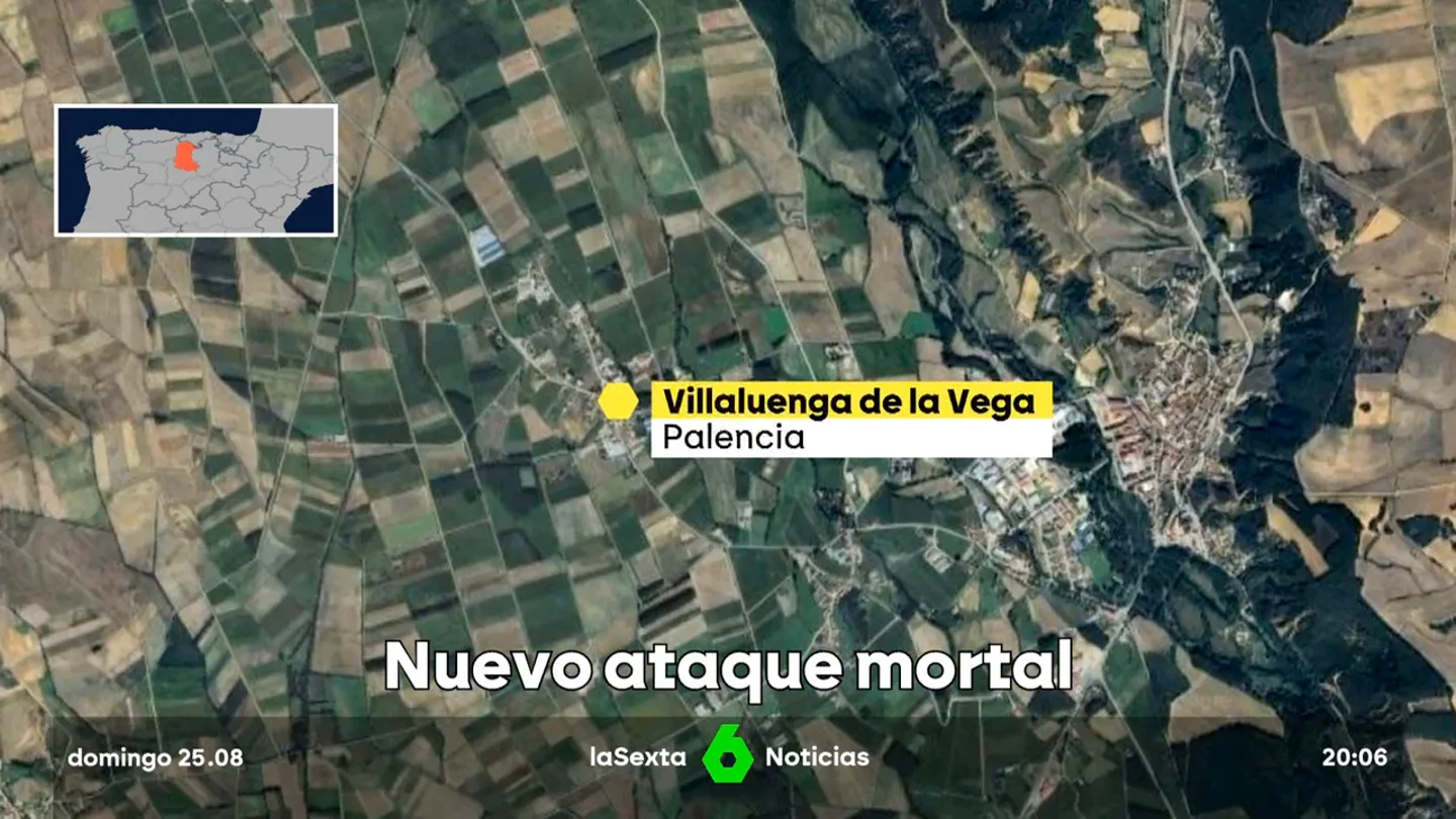 MUERTO PERRO MUERTO PERRO