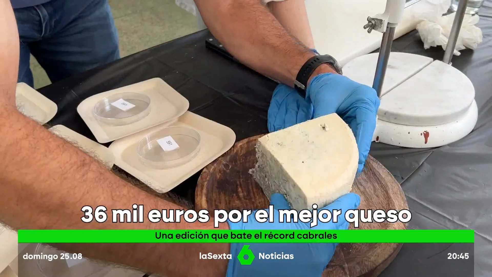 MEJOR QUESO CABRALES