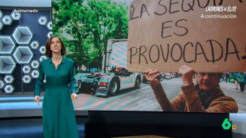 Cristina Gallego 'da su apoyo' a los conspiranoicos: "¡Nos estan 'solfateando' desde primera hora de la mañana!"