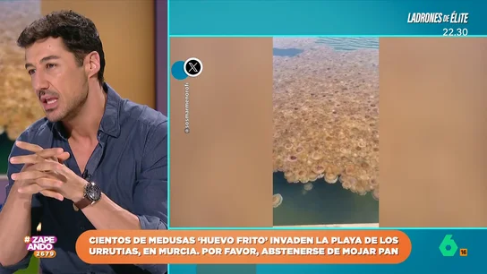 Cientos de medusas 'huevo frito' invaden una playa de Murcia: Francisco Cacho explica a qué se debe su presencia El meteorólogo de laSexta indica que mientras la condiciones de salinidad no cambien estos animales marinos van a permanecer en esta playa del Mar Menor.
