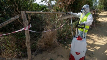 Imagen de archivo de las tareas de fumigación cerca del Guadalquivir para evitar la propagación del mosquito que transmite la enfermedad del virus del Nilo