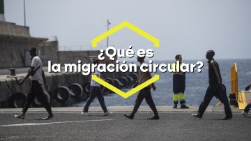 ¿Qué es la migración circular?