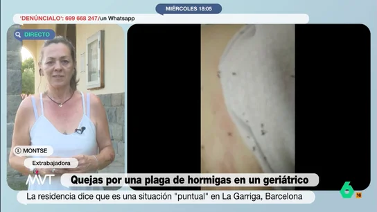 Habla una extrabajadora de la residencia con plaga de hormigas en Barcelona: "Le mostré el vídeo al director y no quiso mirar" Habla una extrabajadora de la residencia con plaga de hormigas en Barcelona: "Le mostré el vídeo al director y no quiso mirar"