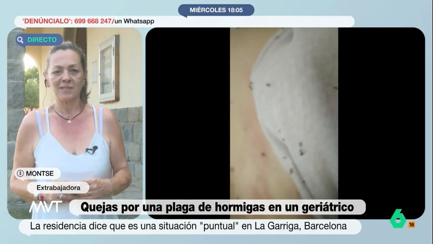 Habla una extrabajadora de la residencia con plaga de hormigas en Barcelona: "Le mostré el vídeo al director y no quiso mirar"