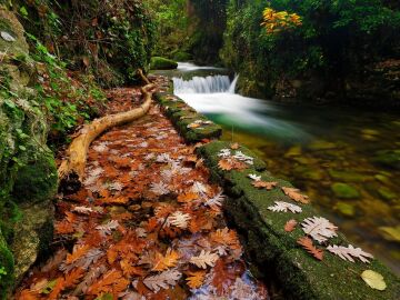 Un paraje del Valle del Ambroz durante el otoño