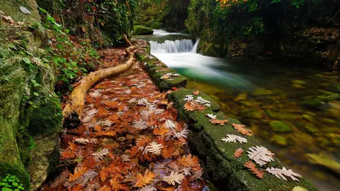 Un paraje del Valle del Ambroz durante el otoño Un paraje del Valle del Ambroz durante el otoño
