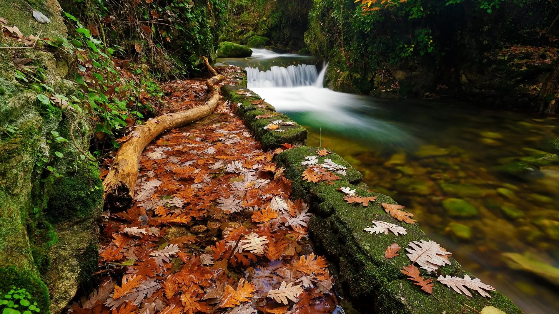 Un paraje del Valle del Ambroz durante el otoño Un paraje del Valle del Ambroz durante el otoño
