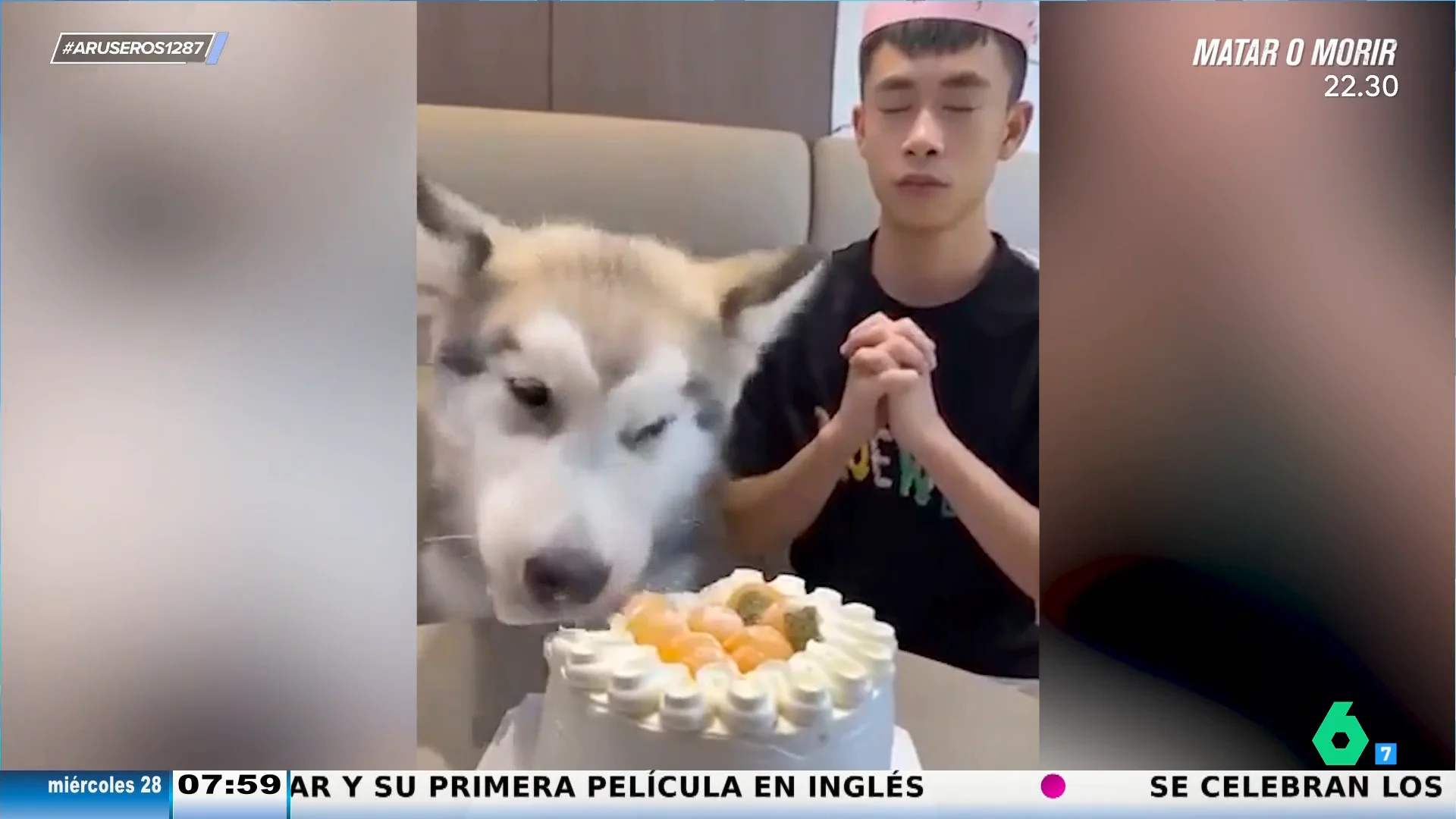 El divertido viral de un joven cuando se distrae al pedir un deseo por su cumpleaños y ve al perro comerse tu tarta