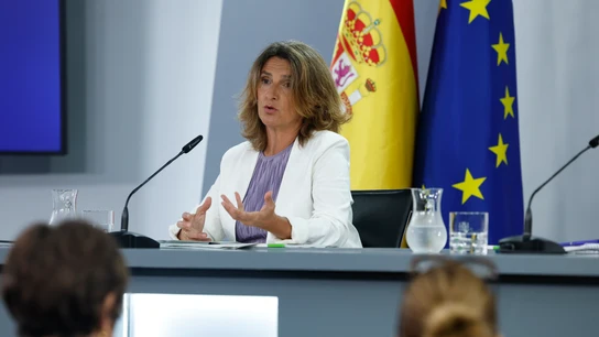 La vicepresidenta tercera y Ministra para la Transición Ecológica y el Reto Demográfico, Teresa Ribera La vicepresidenta tercera y Ministra para la Transición Ecológica y el Reto Demográfico, Teresa Ribera