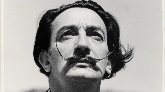 Imagen de archivo de Salvador Dalí. Imagen de archivo de Salvador Dalí.