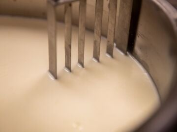 Muestras recogidas en instalaciones de fabricación de queso