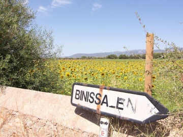 Binissalem, en Mallorca