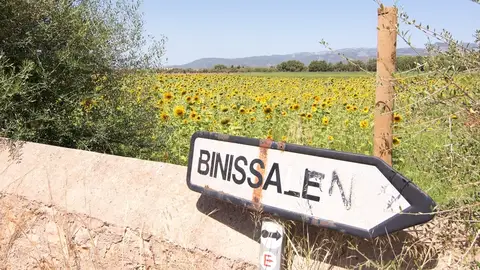 Binissalem, en Mallorca Binissalem, en Mallorca