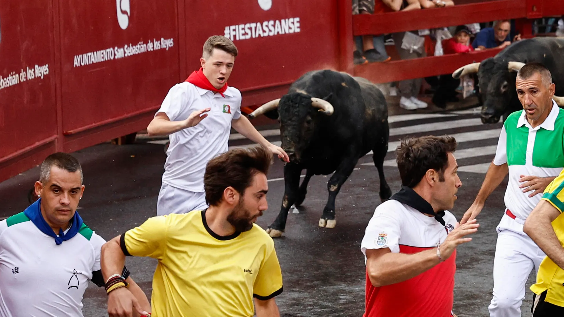 Un momento del sexto encierro matutino de San Sebastián de los Reyes protagonizado, este sábado, por toros de Zalduendo