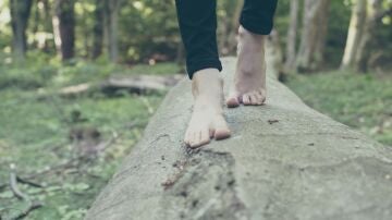 Una persona camina descalza sobre el tronco de un árbol.