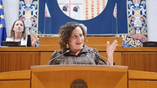 La exportavoz del grupo parlamentario de Podemos en las Cortes de Aragón, Marta de Santos, en imagen de archivo La exportavoz del grupo parlamentario de Podemos en las Cortes de Aragón, Marta de Santos, en imagen de archivo