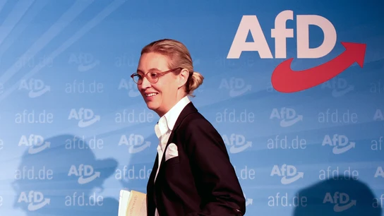 Alice Weidel, copresidenta de la ultraderechista Alternativa por Alemania (AfD) Alice Weidel, copresidenta de la ultraderechista Alternativa por Alemania (AfD)
