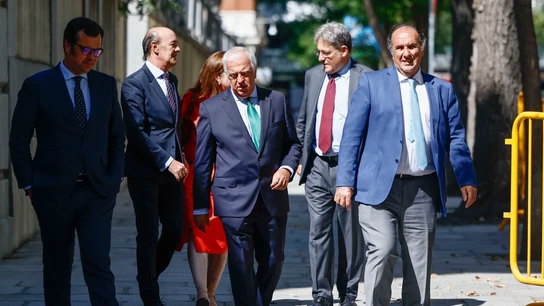 Varios vocales del CGPJ entran en la sede de cara a la votación para la nueva presidencia del órgano Varios vocales del CGPJ entran en la sede de cara a la votación para la nueva presidencia del órgano