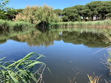 El humedal en el que se ha hecho este estudio El humedal en el que se ha hecho este estudio